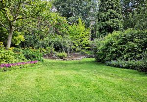 Optimiser l'expérience du jardin à Les Metairies